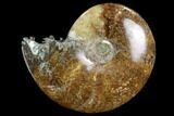 Polished, Agatized Ammonite #97343-1